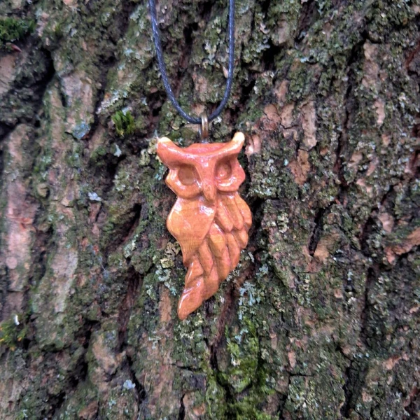 Mądrość Lasu / Wisdom of the Forest